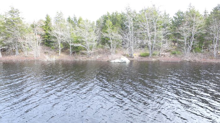 WentworthHalbinsel (95)